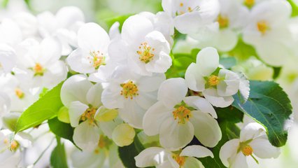 剪板機(jī)廠家簡(jiǎn)介剪板機(jī)的維護(hù)方法
